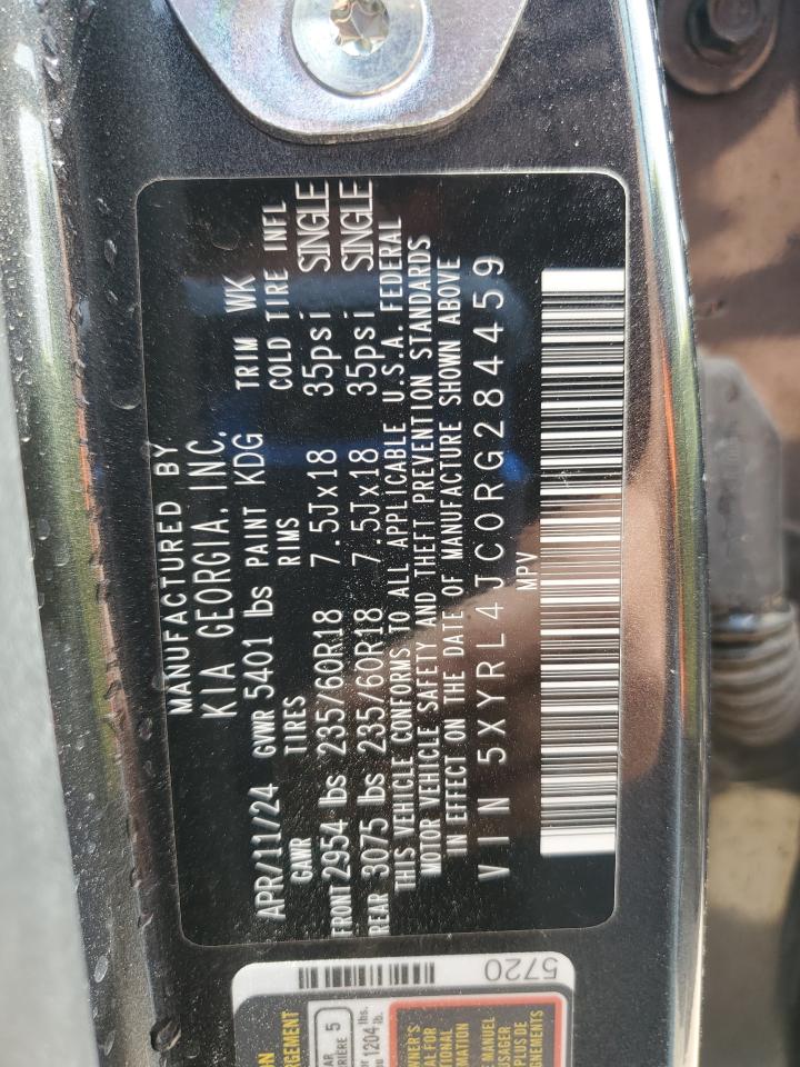2024 Kia Sorento S VIN: 5XYRL4JC0RG284459 Lot: 56576505