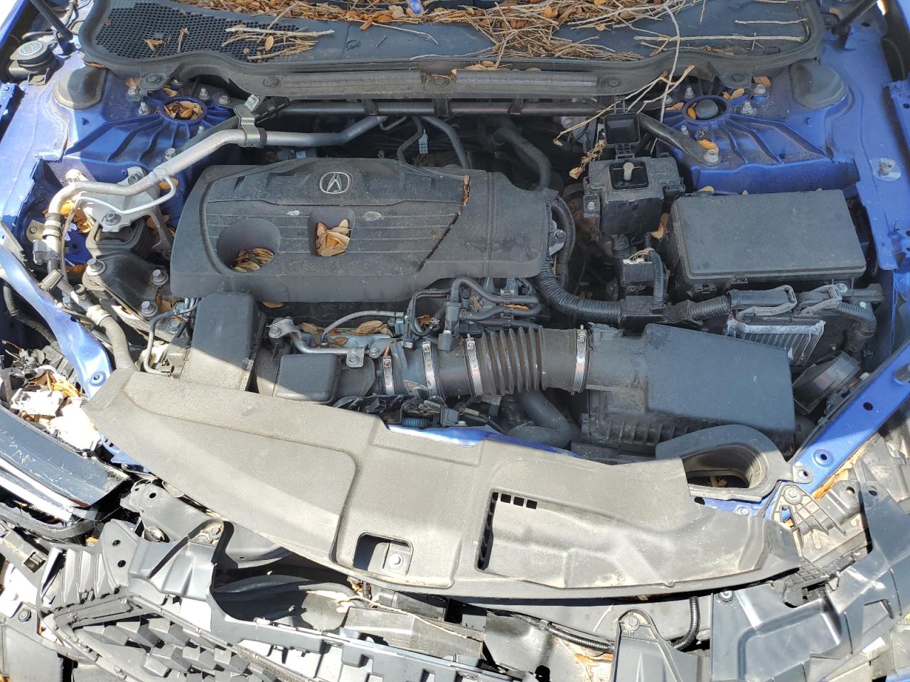 2021 Acura Tlx Tech A VIN: 19UUB5F54MA013895 Lot: 56484135