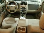 2010 Ford Escape Xlt for Sale in Ham Lake, MN - Rear End