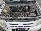 2010 Ford Escape Xlt zu verkaufen in Las Vegas, NV - Front End