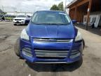 2016 Ford Escape Se for Sale in Denver, CO - Front End