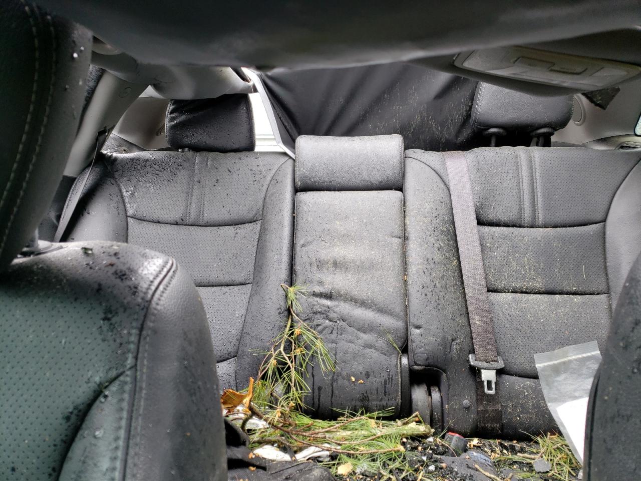 2011 Kia Sorento Ex VIN: 5XYKUDA23BG113815 Lot: 57684165
