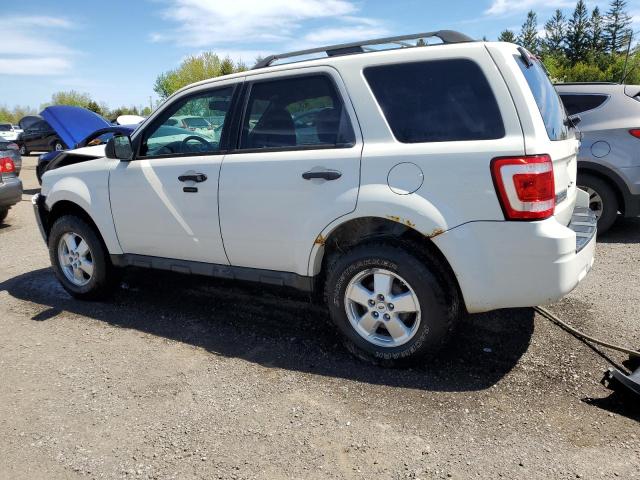 2011 FORD ESCAPE XLT