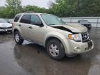 2012 Ford Escape Xlt for Sale in Glassboro, NJ - Front End
