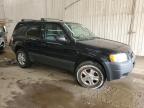 2003 Ford Escape Xlt იყიდება Ham Lake-ში, MN - Side