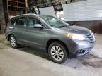 2012 Honda Cr-V Exl en Venta en Albany, NY - Rear End
