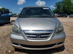 2007 Honda Odyssey Exl en Venta en China Grove, NC - Minor Dent/Scratches