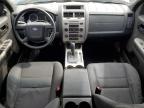 2011 Ford Escape Xlt للبيع في Ottawa، ON - Minor Dent/Scratches