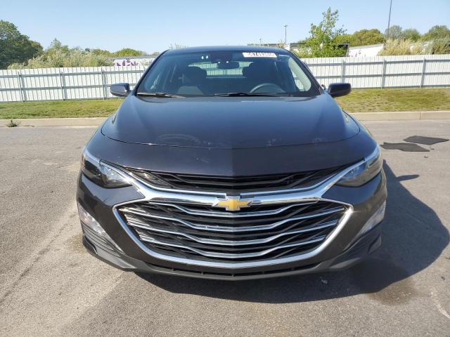  CHEVROLET MALIBU 2023 Gray