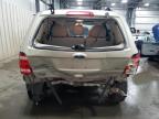 2010 Ford Escape Xlt for Sale in Ham Lake, MN - Rear End