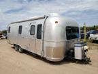 1999 Airstream Traveltrai de vânzare în Kincheloe, MI - Hail