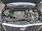 Des Moines, IA에서 판매 중인 2023 Cadillac Xt5 Premium Luxury   - Front End