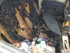 2008 Hyundai Elantra Gls de vânzare în Spartanburg, SC - Burn