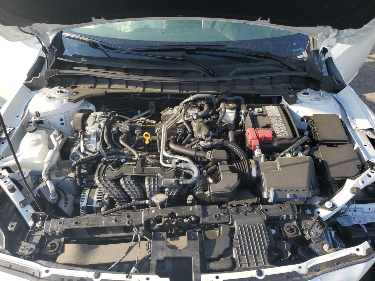 2025 Nissan Altima Sv VIN: 1N4BL4DV1SN305922 Lot: 56155625