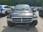 2002 Dodge Dakota Quad Sport for Sale in Glassboro, NJ - Front End