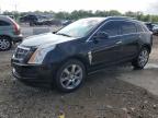 2011 Cadillac Srx Luxury Collection for Sale in Louisville, KY - Hail