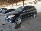 2011 Hyundai Santa Fe Limited zu verkaufen in Phoenix, AZ - Front End