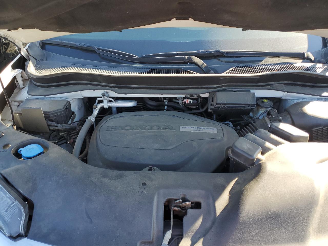 5FNYF5H50KB022082 HONDA PILOT 2019