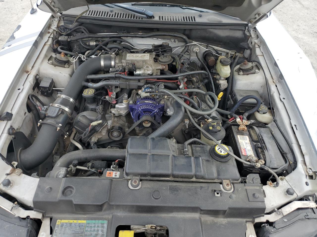 2004 Ford Mustang Gt VIN: 1FAFP42X94F221676 Lot: 56989995