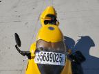 Farr West, UT에서 판매 중인 2004 Triumph Motorcycle Daytona 955I - Front End