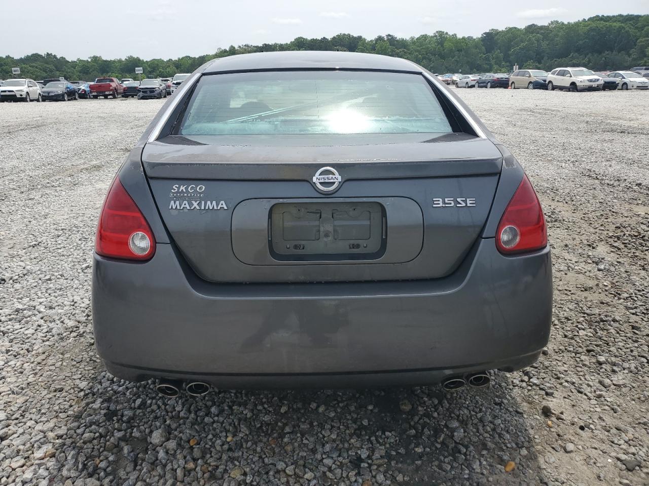 2004 Nissan Maxima Se VIN: 1N4BA41E34C902644 Lot: 57466755