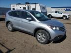 2014 Honda Cr-V Ex for Sale in Greenwood, NE - Rear End