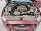 2015 Ford Mustang    for Sale in Prairie Grove, AR - Hail