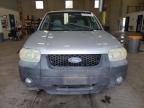 2005 Ford Escape Xlt продається в Blaine, MN - Rear End