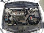2011 Honda Accord Se للبيع في Apopka، FL - Side