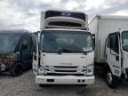 2023 Isuzu Nrr  na sprzedaż w Madisonville, TN - Front End