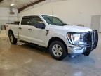 2023 Ford F150 Supercrew for Sale in San Antonio, TX - Front End