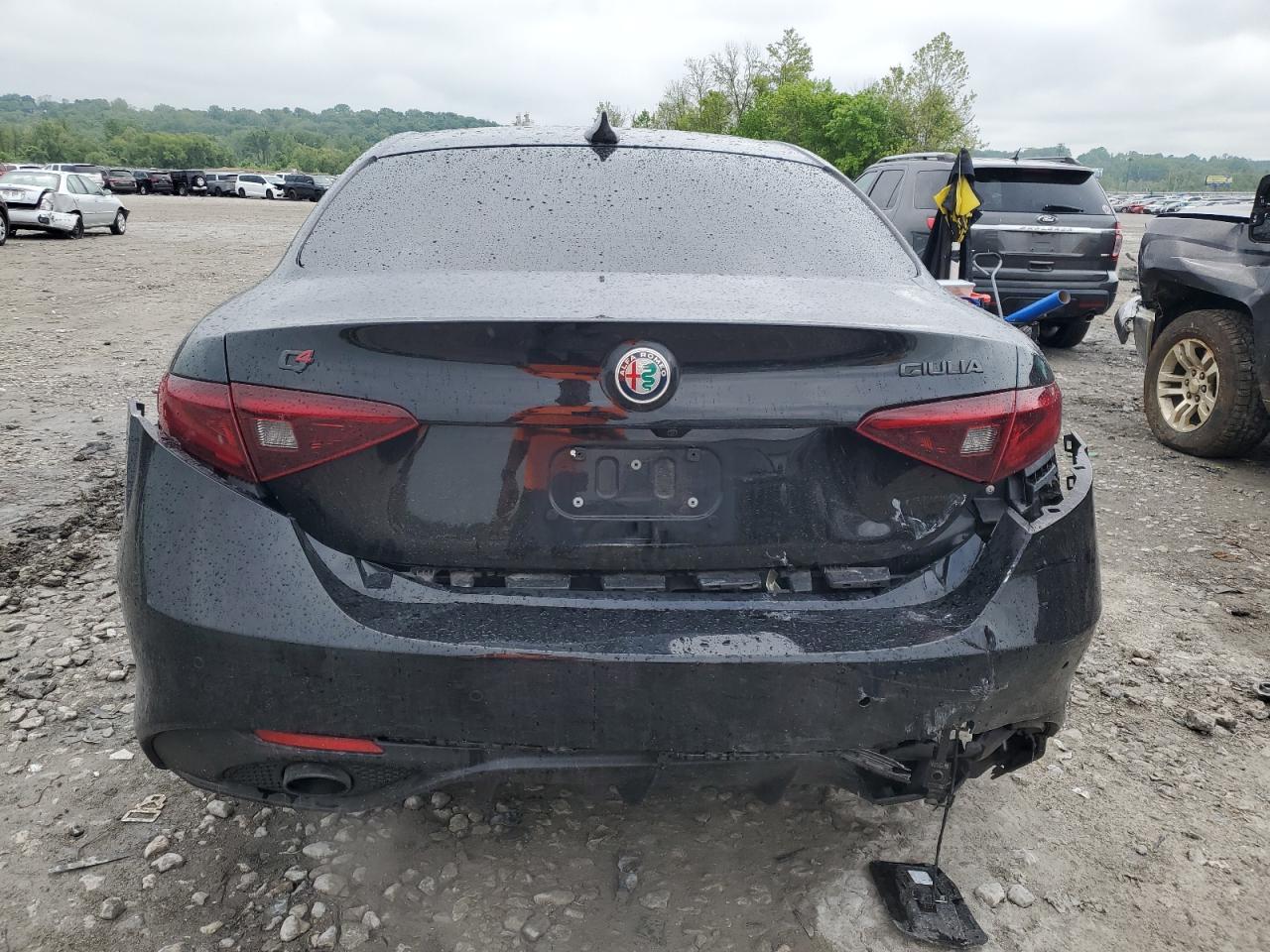 2019 Alfa Romeo Giulia VIN: ZARFANAN4K7608229 Lot: 56253945