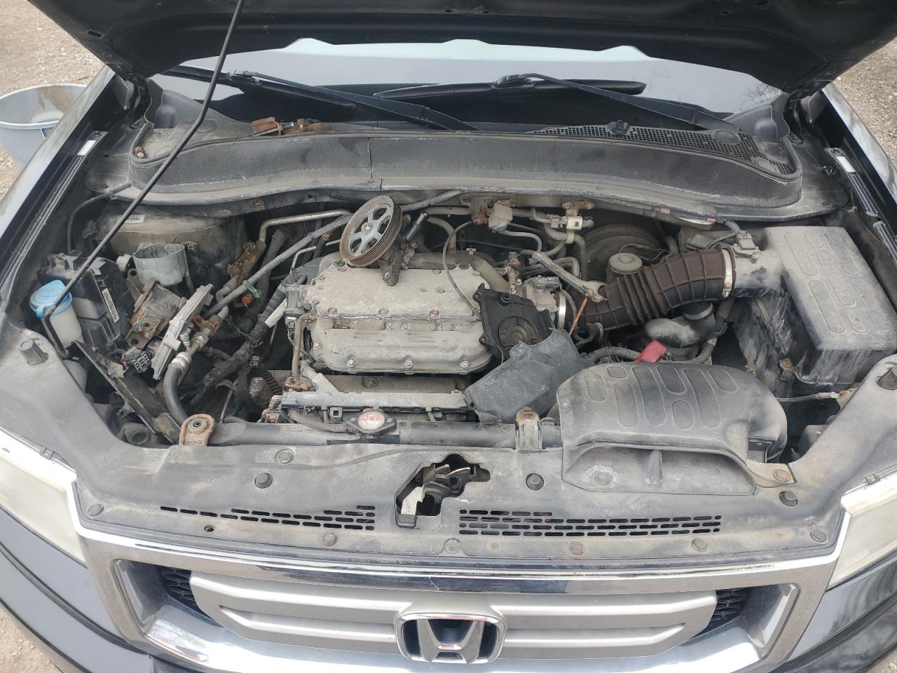 2011 Honda Ridgeline Rtl VIN: 5FPYK1F55BB501760 Lot: 56182415
