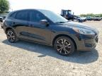 2022 Ford Escape Se for Sale in Mercedes, TX - Hail