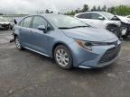 2025 Toyota Corolla Le for Sale in Pennsburg, PA - Rear End