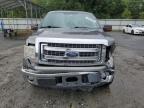 2013 Ford F150 Supercrew   zu verkaufen in Savannah, GA - Front End