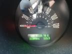 2009 Ford Mustang  zu verkaufen in Shreveport, LA - Front End