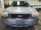 2005 Ford Escape Xls იყიდება Davison-ში, MI - Burn - Engine