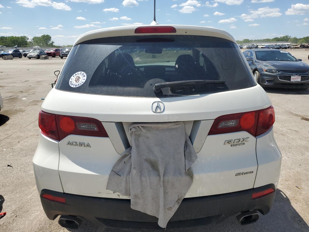 2010 Acura Rdx VIN: 5J8TB1H20AA000483 Lot: 55855245