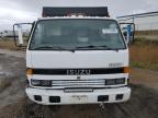1994 Isuzu Npr  продається в Farr West, UT - Front End