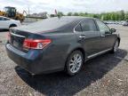2010 Lexus Es 350 იყიდება Hillsborough-ში, NJ - Minor Dent/Scratches