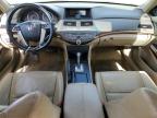 2009 Honda Accord Exl на продаже в Magna, UT - Minor Dent/Scratches