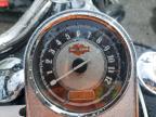 2005 Harley-Davidson Fxsti  للبيع في Pennsburg، PA - Front End