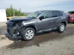 2024 Toyota Rav4 Le იყიდება Albuquerque-ში, NM - Front End