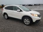 2014 Honda Cr-V Exl for Sale in Earlington, KY - Hail