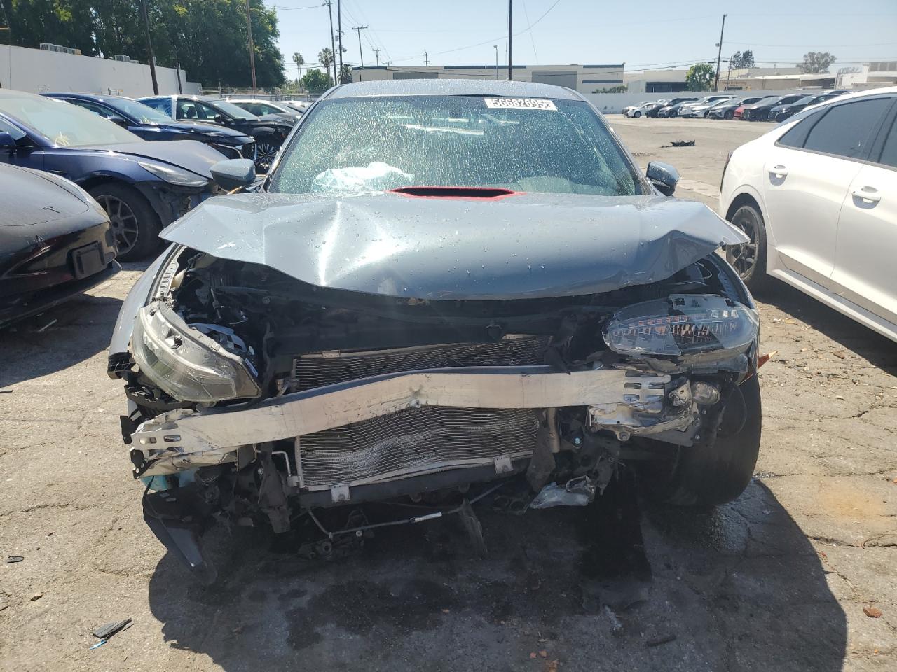 SHHFK8G75KU203295 HONDA CIVIC 2019