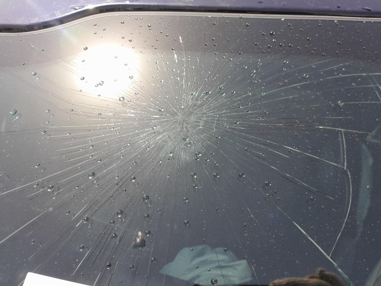 1FTFW1RG0NFB40214 - 2020 Ford F150 RAPTO - #58674315