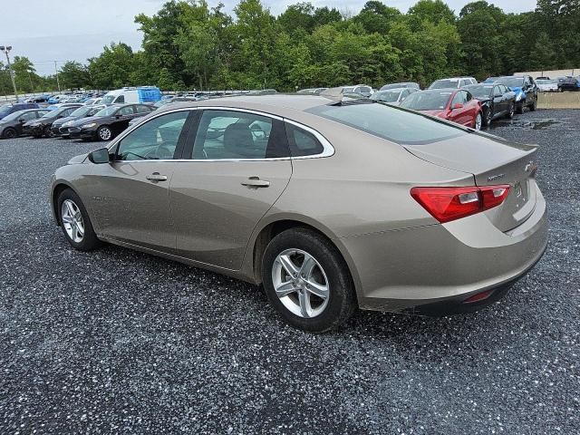  CHEVROLET MALIBU 2023 tan