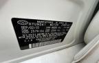 2016 Hyundai Azera  zu verkaufen in Apopka, FL - Minor Dent/Scratches