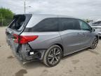 2023 Honda Odyssey Touring на продаже в Indianapolis, IN - Rear End
